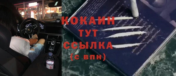 дживик Семикаракорск