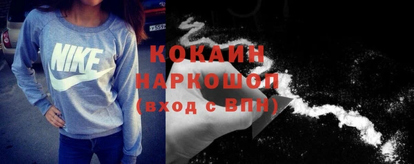 СК Богородск