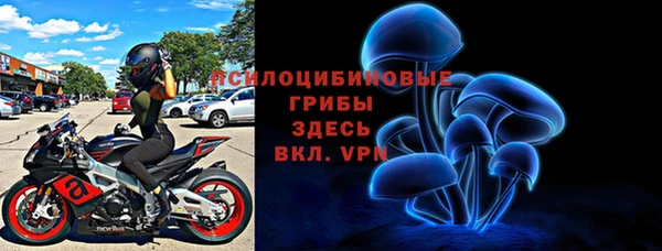 СК Богородск