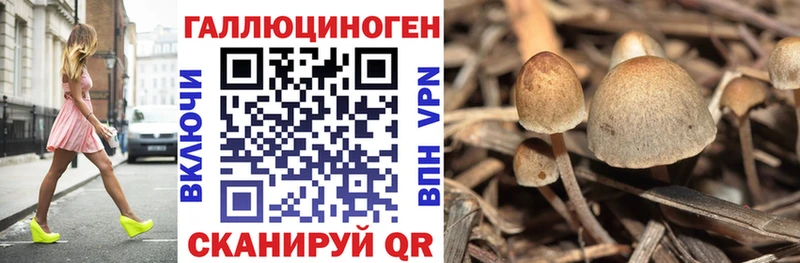 Псилоцибиновые грибы MAGIC MUSHROOMS наркота мориарти какой сайт Судак